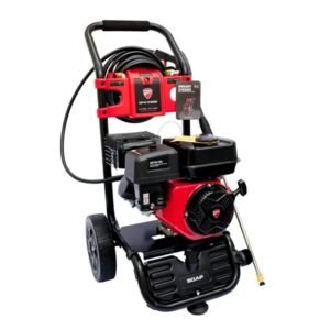 Hidrolavadora Ducati DPW893100G - 208CC 3100PSI 4T