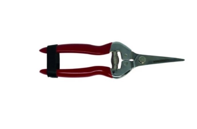 Tijera Tipo 21 Kawashima 803AS Punta con Doblez - Imagen 2