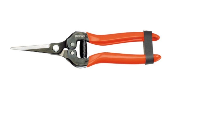 Tijera Especial de Punta Stoker 345