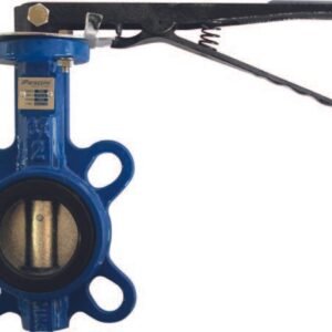 Válvula Mariposa PARAZZINI DN02