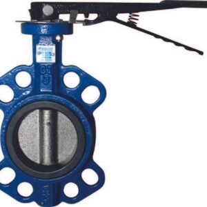 Válvula Mariposa PARAZZINI DN03